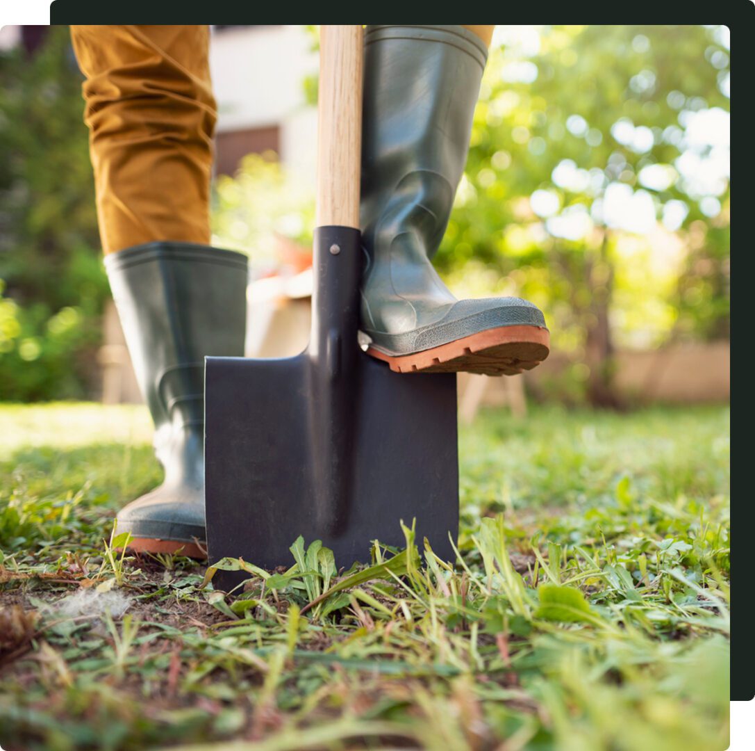 Person digging soil with a shovel wearing boots.