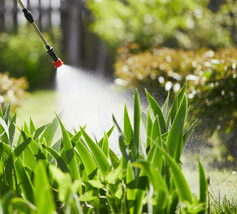 Herbicide