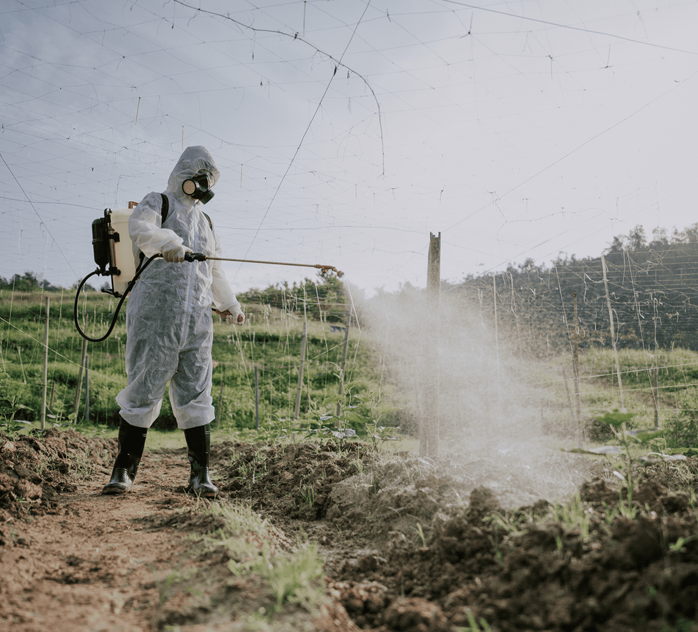 Insecticides/Pesticides