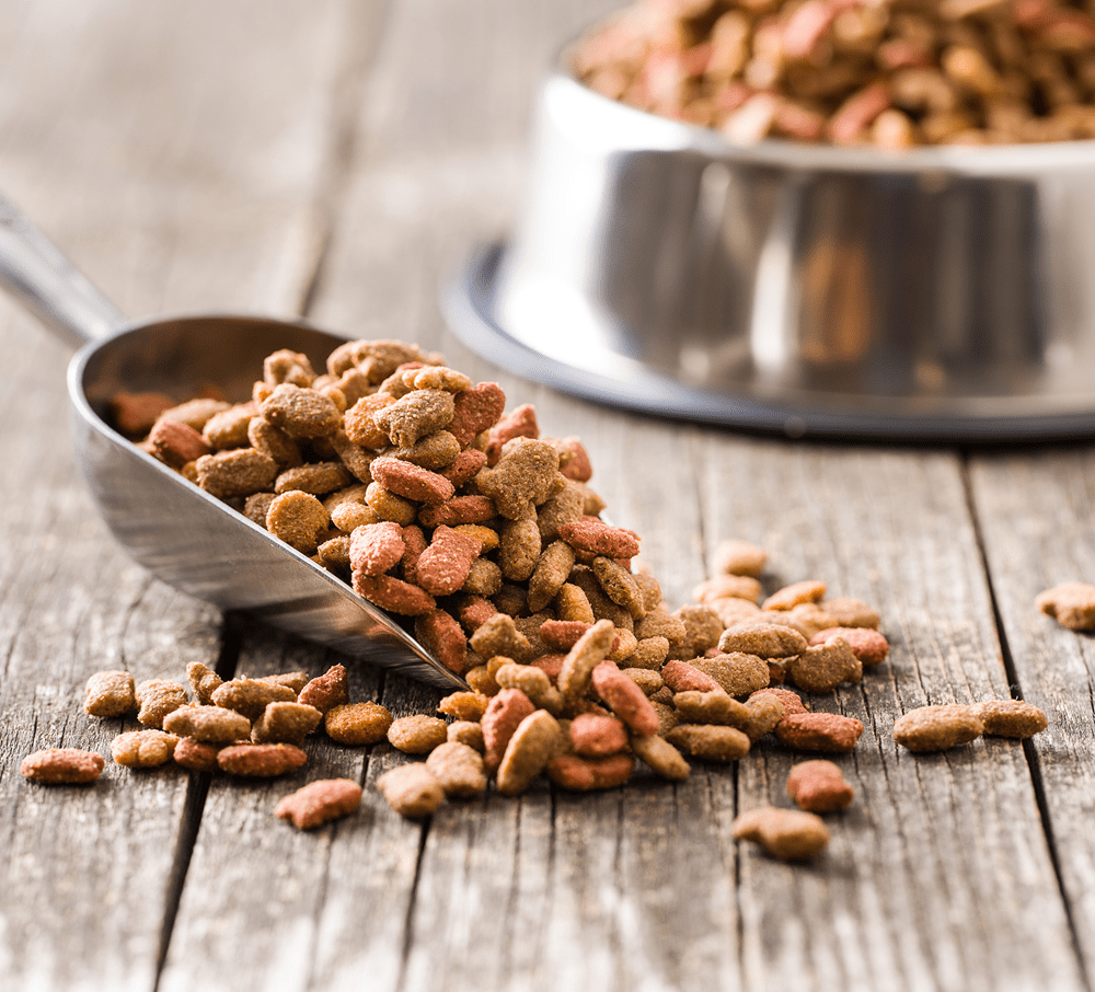 Dog Food