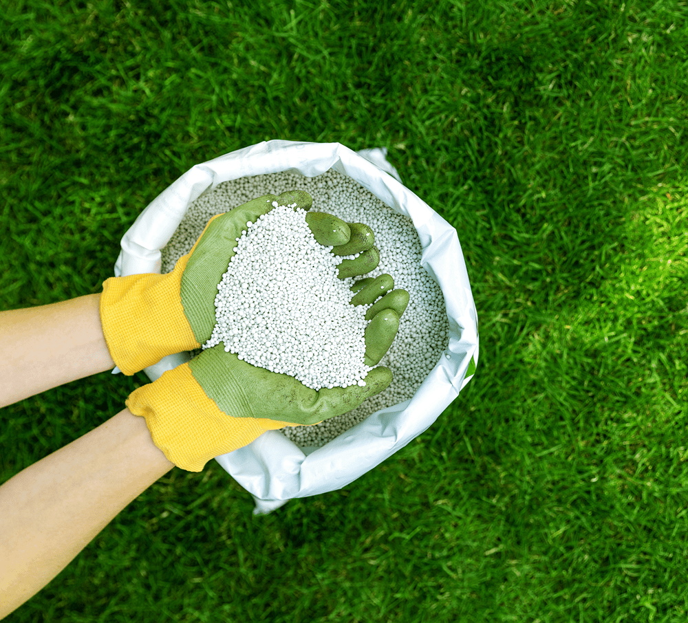 Fertilizers