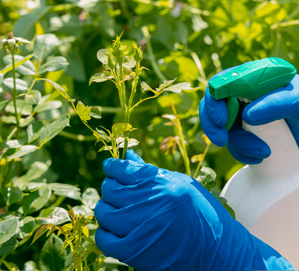 Fungicides/Bactericides