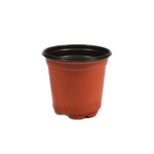 A small brown plastic plant pot with a black rim.