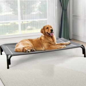 Golden retriever relaxing on an elevated dog bed indoors.