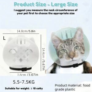 Transparent Cat Protective Helmet