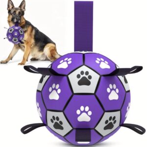 Durable Dog Ball 6" with Air Pump
