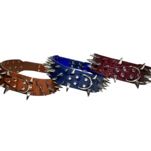 Wolf Tooth Dog Collar