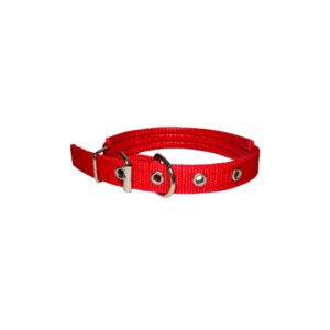 Padded Dog Collar 20"