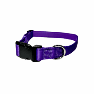 Adjustable Quick Release Dog Collar - Purple