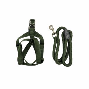 Dog Leash & Harness Combo 1.5m