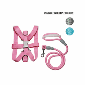 Pet Leash and Harness – Medium