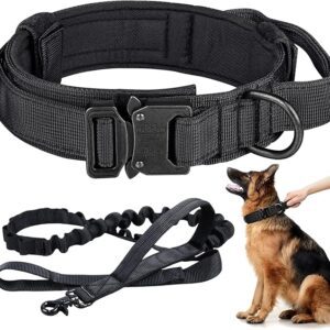 Black nylon dog collar and leash set with a German Shepherd.
