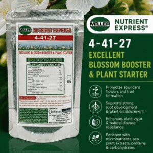 Nutrient Express 4-41-27