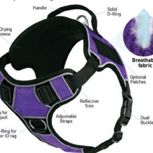 Diagram of a safety helmet with labeled parts and features.