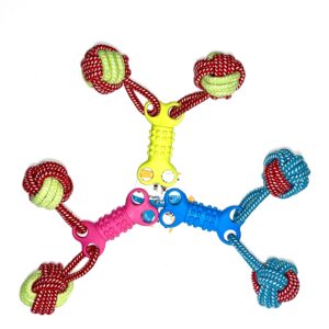 Double Tug Rope and Bone Toy
