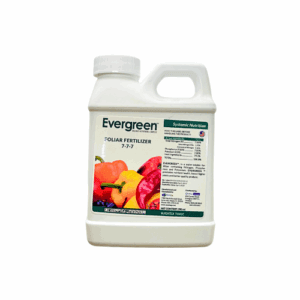 Evergreen 250ml