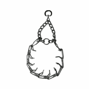 Prong Training Collar