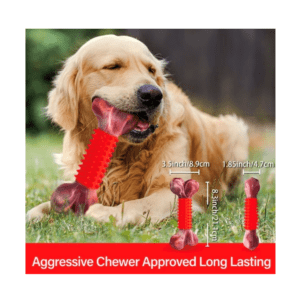 Tough Dog Bone Chew Toy