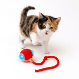 Automatic Rolling Cat Ball Toy