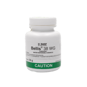 Bellis 38 WG Fungicide