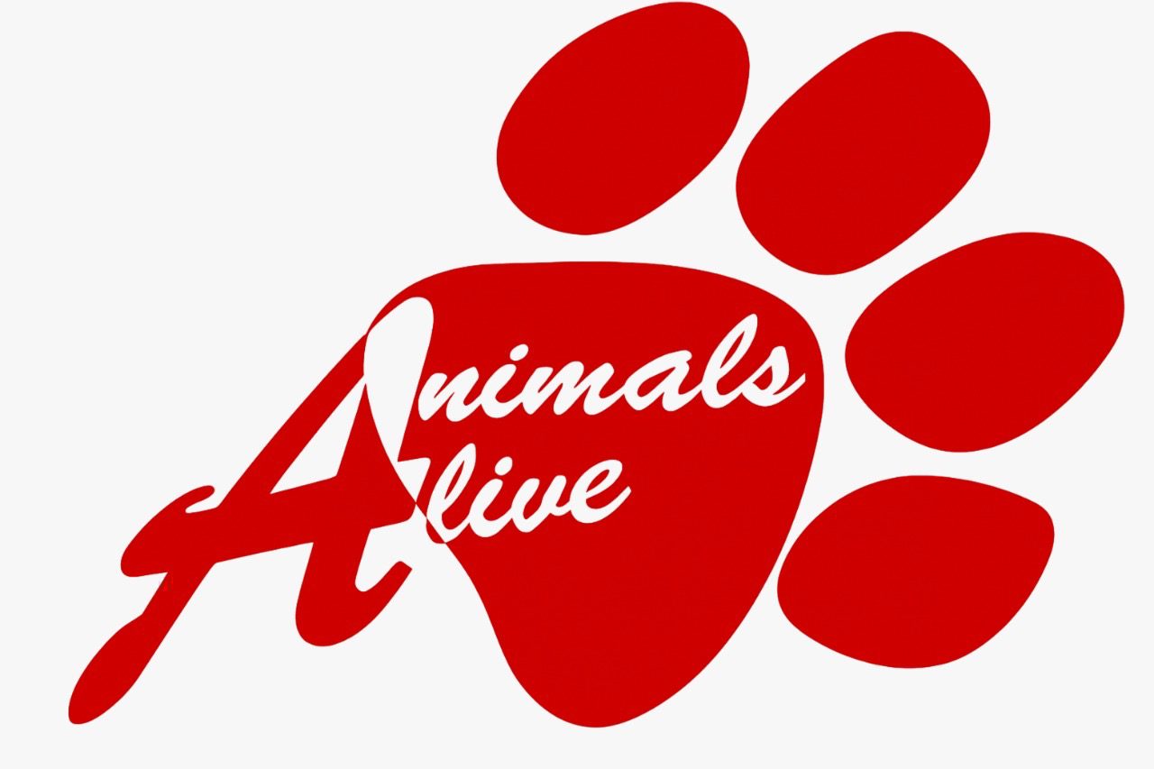 Animals Alive TT